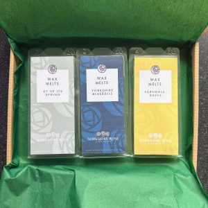 Monthly Wax Melt Box Subscription